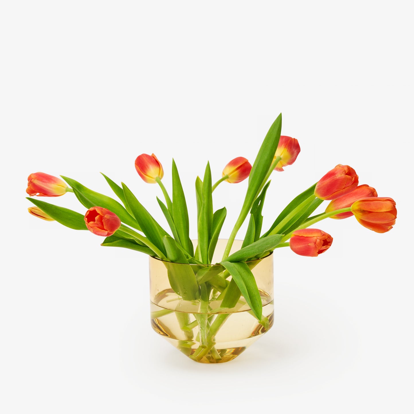 Model Three Planter