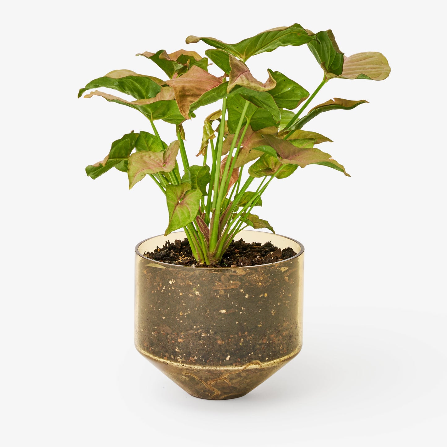 Model Three Planter