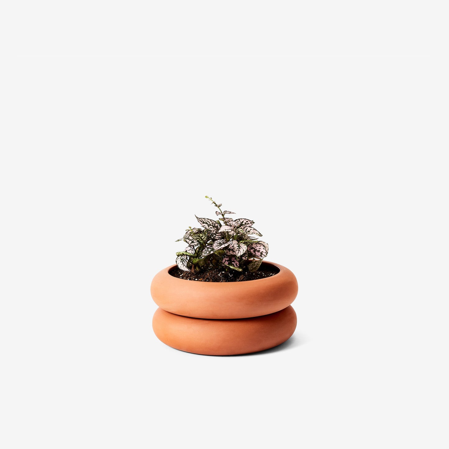 Stacking Planter - Short. Terracotta